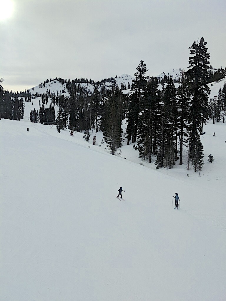 ski slopes